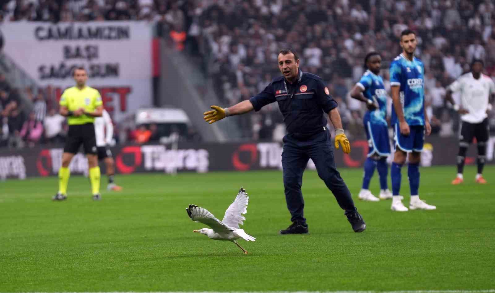 trendyol super lig besiktas 0 samsunspor 0 mac devam ediyor 21 wTDJ43Xm