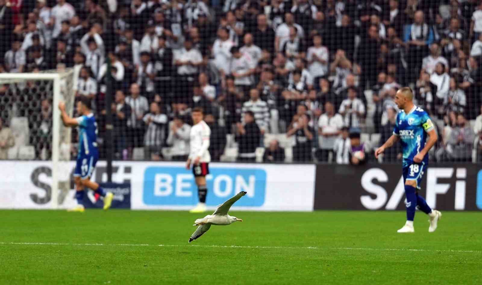 trendyol super lig besiktas 0 samsunspor 0 mac devam ediyor 23 Xhnrgit3