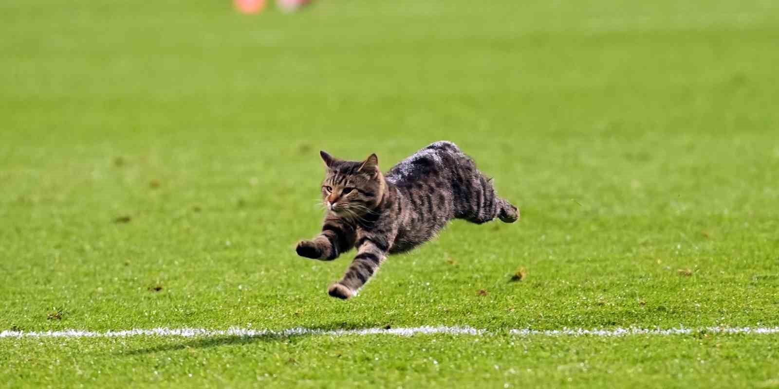 trendyol super lig eyupspor 2 kasimpasa 0 mac sonucu 10 u7WlGGPl