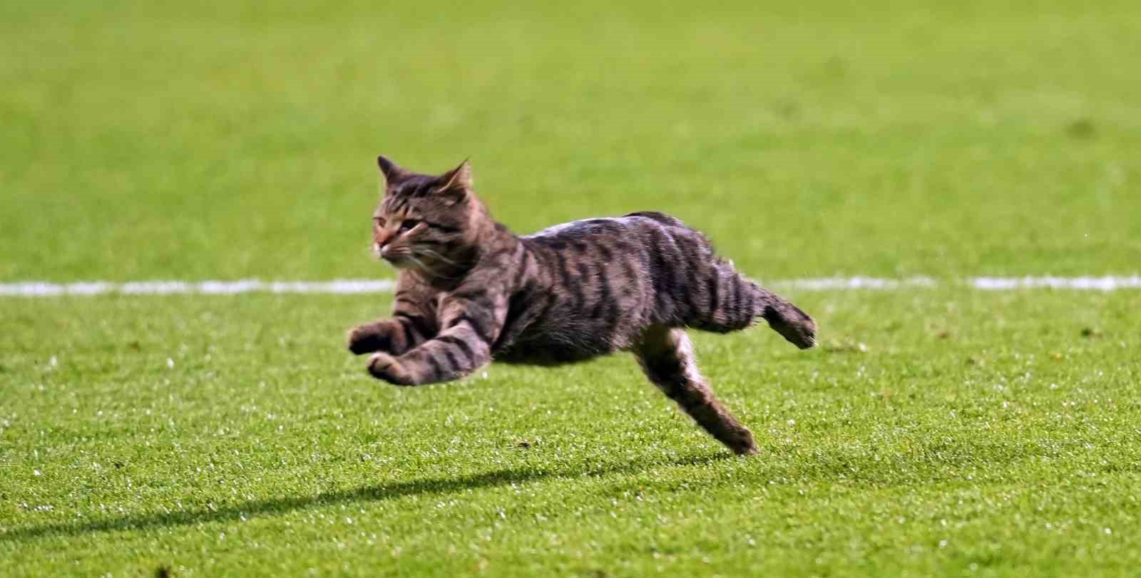 trendyol super lig eyupspor 2 kasimpasa 0 mac sonucu 11 S2DHvkd1