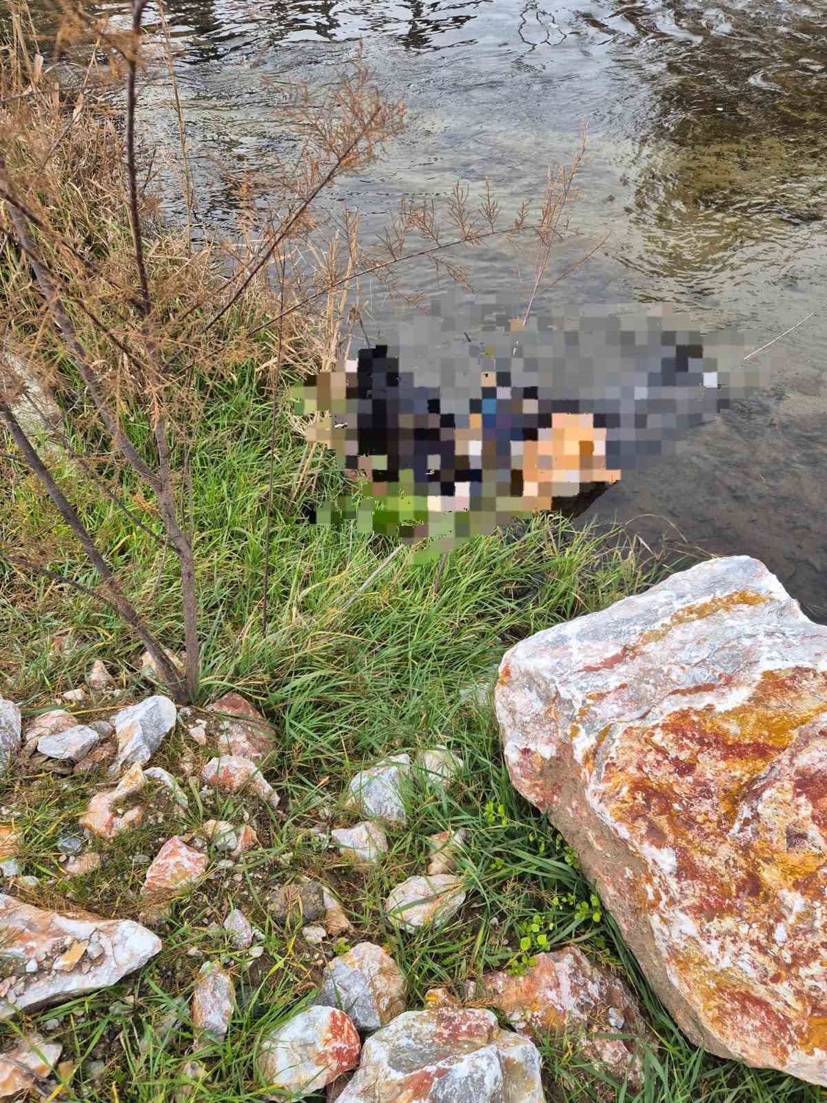 trenin gectigi koprude hayatini kaybetti 0 bcEuwiAy