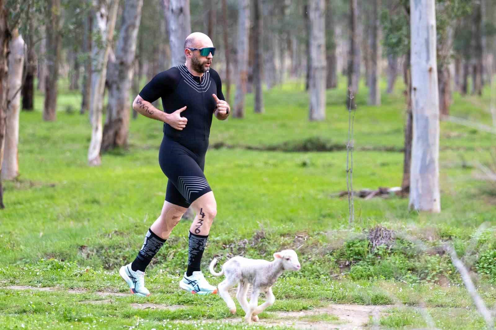 Triatlon yarışında parkura giren kuzu, renkli görüntülere neden oldu 4 triatlon yarisinda parkura giren kuzu renkli goruntulere neden oldu 0 JDsycdXw
