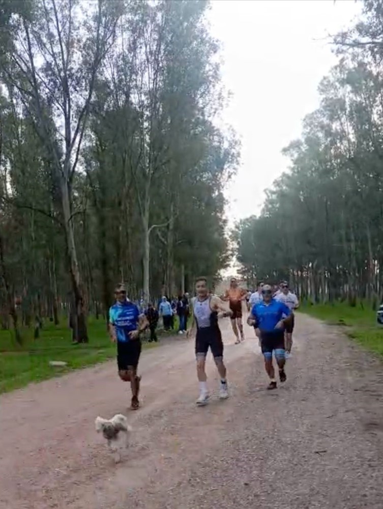 Triatlon yarışında parkura giren kuzu, renkli görüntülere neden oldu 6 triatlon yarisinda parkura giren kuzu renkli goruntulere neden oldu 2 Xrv439k8