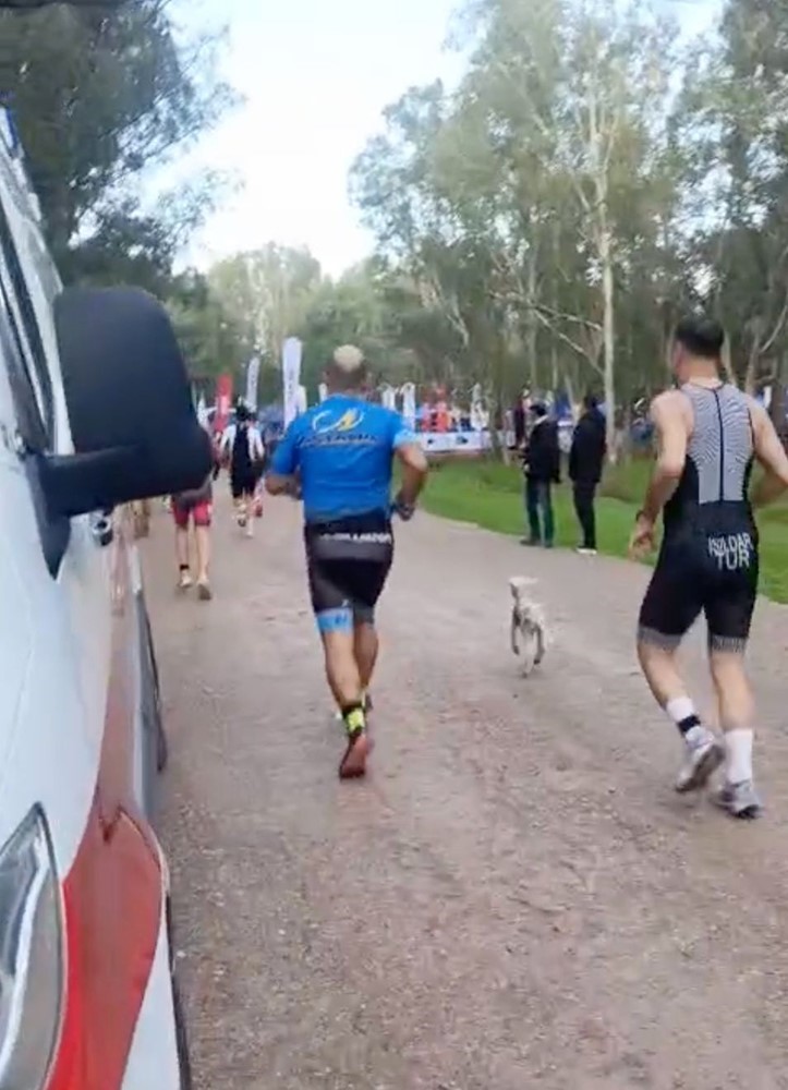 Triatlon yarışında parkura giren kuzu, renkli görüntülere neden oldu 7 triatlon yarisinda parkura giren kuzu renkli goruntulere neden oldu 3 UOyQQtD6