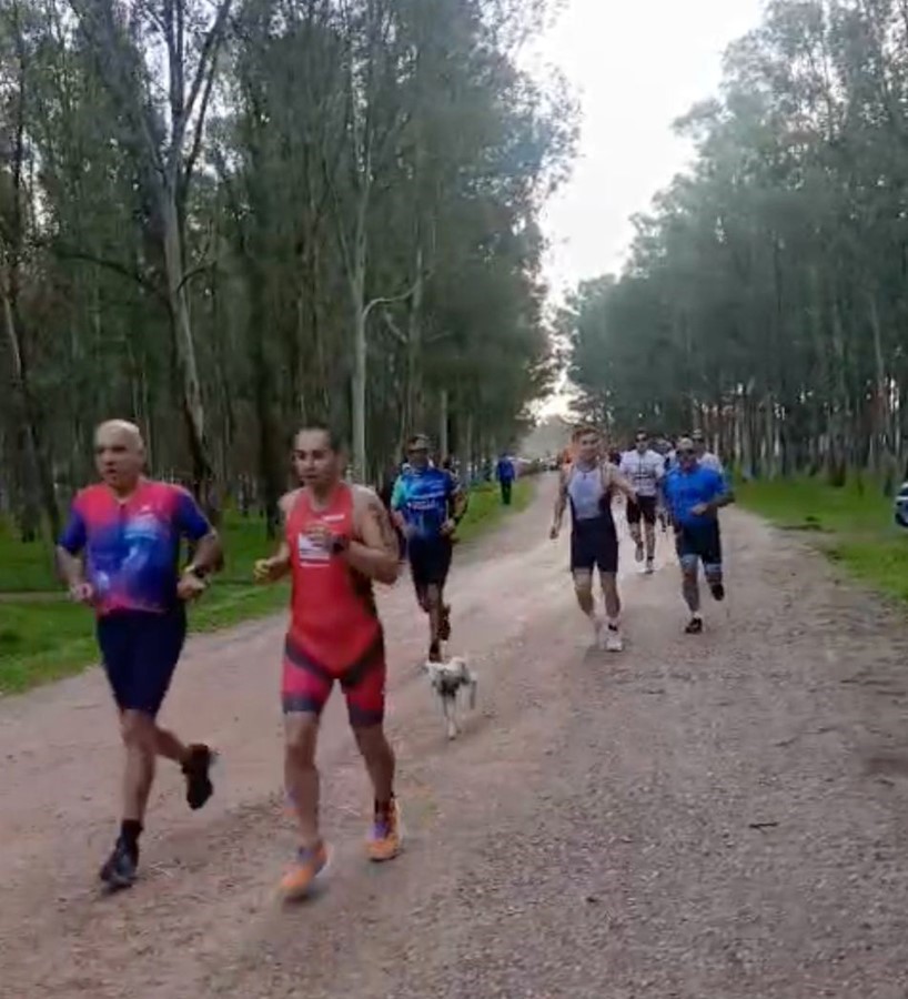 Triatlon yarışında parkura giren kuzu, renkli görüntülere neden oldu 8 triatlon yarisinda parkura giren kuzu renkli goruntulere neden oldu 4 U5JnGn7y