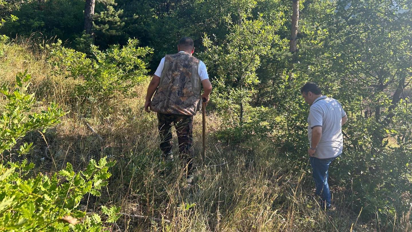 truf mantarinin izini egitimli kopekler surdu 2 n18lekyS