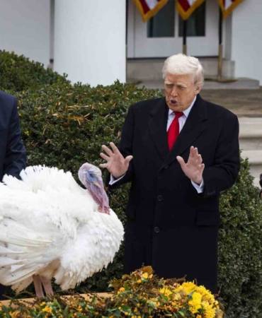 trump-ukrayna-rusya-bir-anlasmaya-cok-yakin-oldugumuzu-dusunuyorum-tzwIjv6L.jpg
