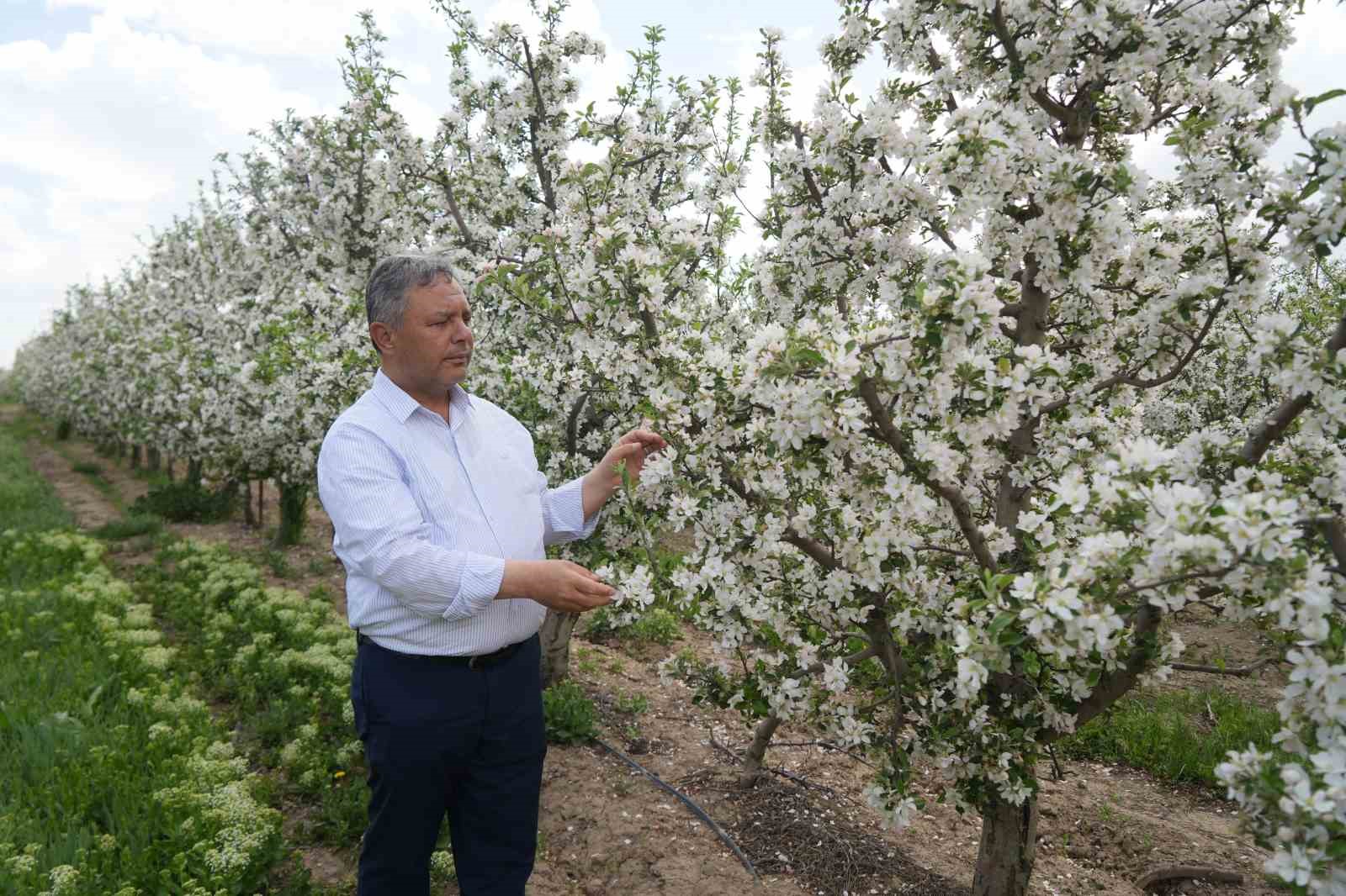 tuccarlarin depo oyunu elmalar depolandi ucuza satilmak istenmiyor 0 HY3DrBjn