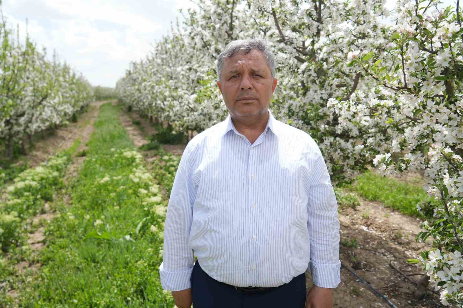 tuccarlarin depo oyunu elmalar depolandi ucuza satilmak istenmiyor 5 hVPuLqHV