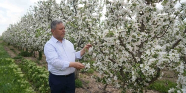 tuccarlarin-depo-oyunu-elmalar-depolandi-ucuza-satilmak-istenmiyor-XAVN3aKC.jpg