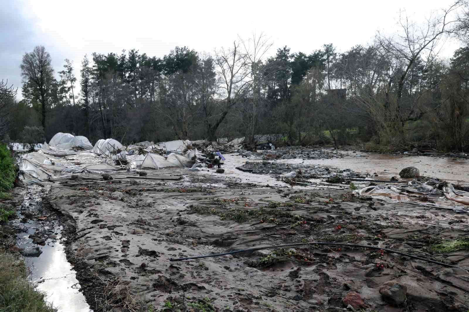 tum birikimlerini 1 saatte kaybettiler 1 pwAOBWKP