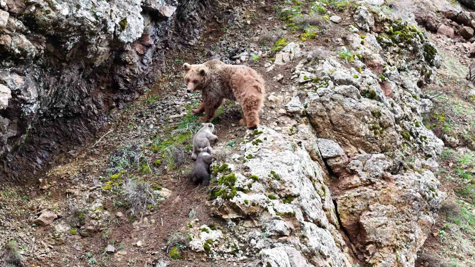 tuncelide belgeselleri aratmayan goruntuler 1