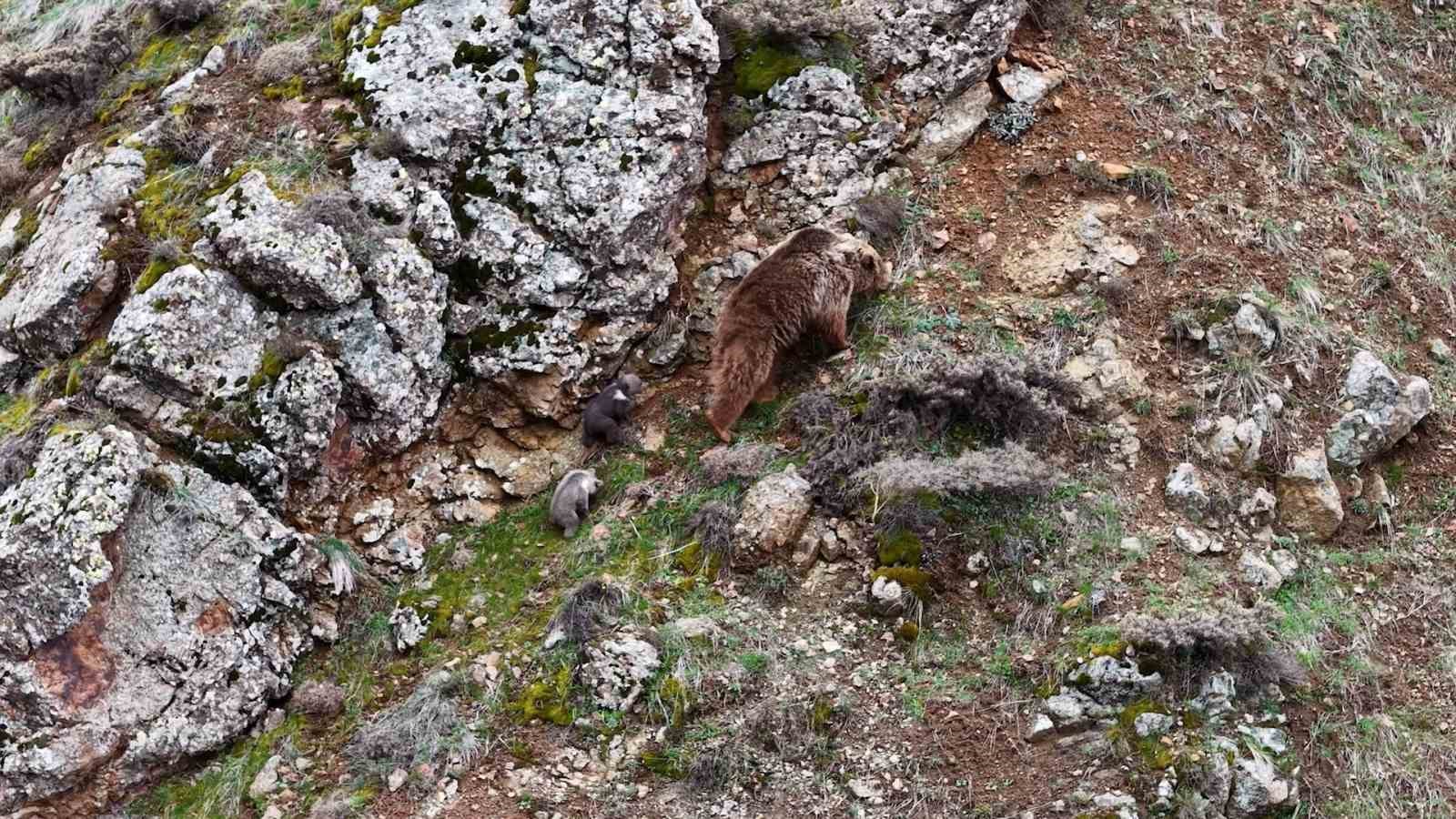 tuncelide belgeselleri aratmayan goruntuler 3 lm263akl