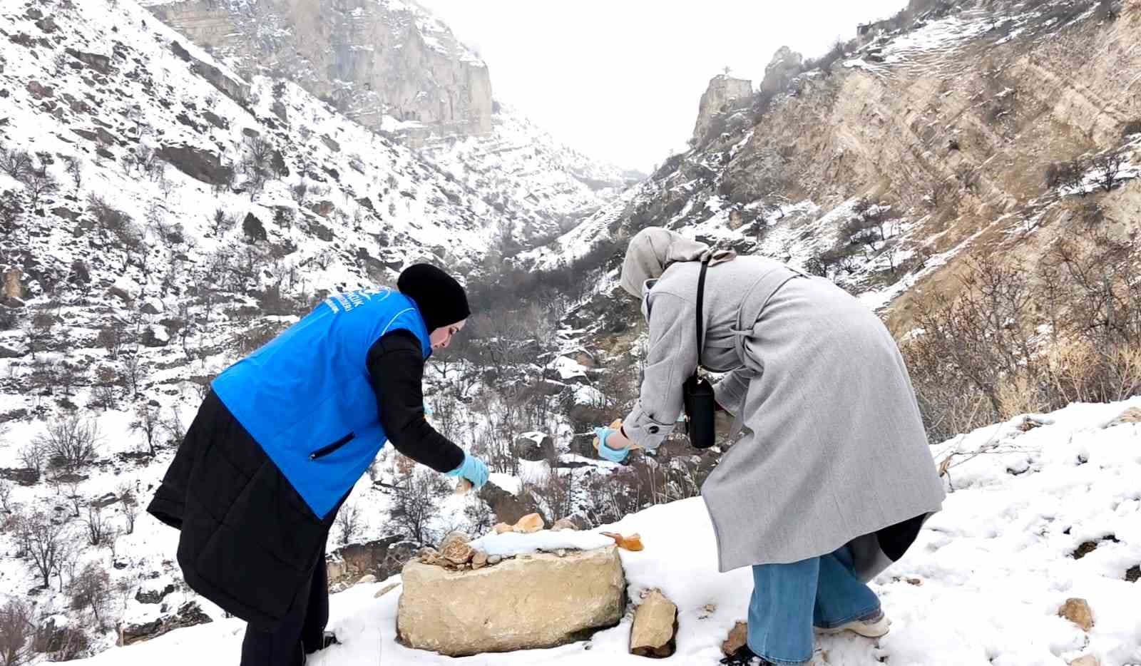 tuncelide soguk kisa sicak dokunus gencler yaban hayati icin seferber oldu 1 lMRMTjhE