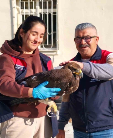 tuncelide-yarali-halde-bulunan-kartal-tedavi-altina-alindi-ul5OeJCs.jpg