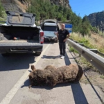 tunelde-baslayan-yasam-mucadelesi-cayda-son-buldu-r5v7hy4Z.jpg