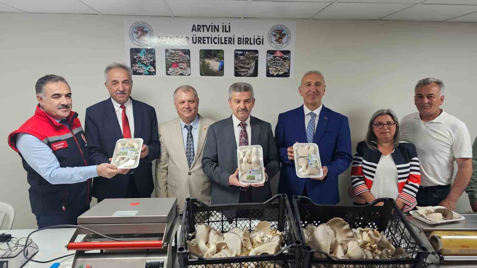tunelde uretilen istiridye mantarinin ilk hasadi gerceklestirildi 4 2gXUGMs7