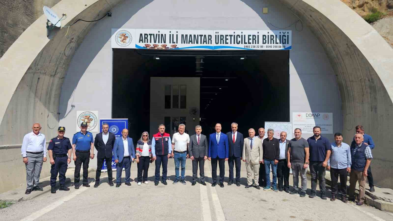 tunelde uretilen istiridye mantarinin ilk hasadi gerceklestirildi 5 fJzmJR1w
