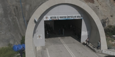 tunelde-uretilen-istiridye-mantarinin-ilk-hasadi-gerceklestirildi-r6ns5iNI.jpg
