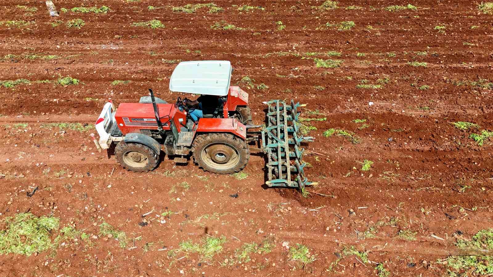 turfanda patateste hasat basladi 10 5IgF3Wk3