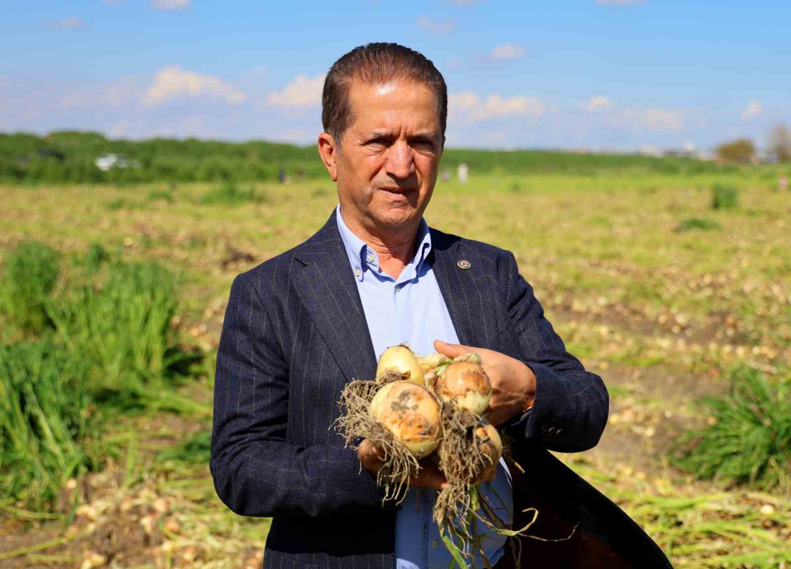 turfanda soganda hasat basladi fiyati arz talep belirleyecek 3 BV8aQiZA