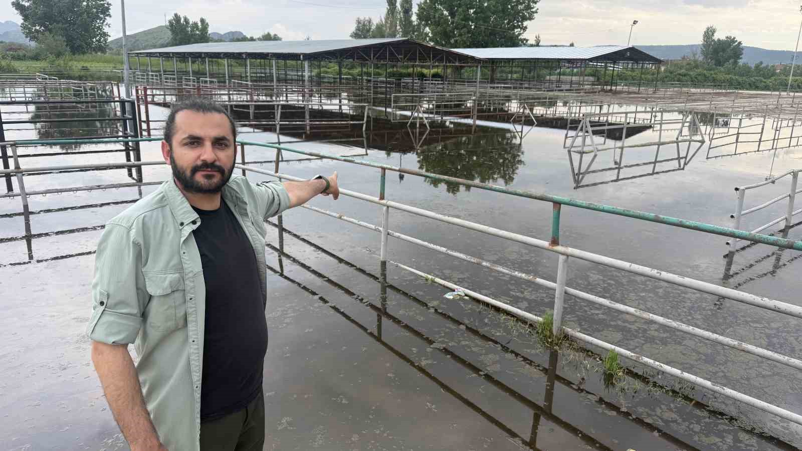 turhalda hayvan pazari sular altinda kaldi 0 i4zhSYvn