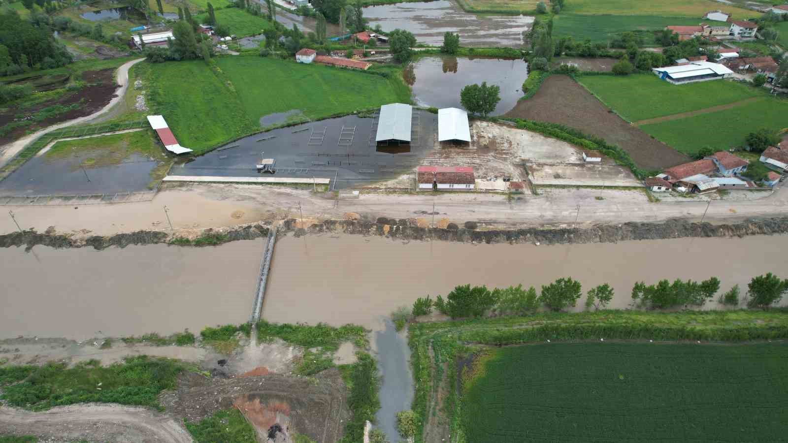 turhalda hayvan pazari sular altinda kaldi 2 hPVI7nzU