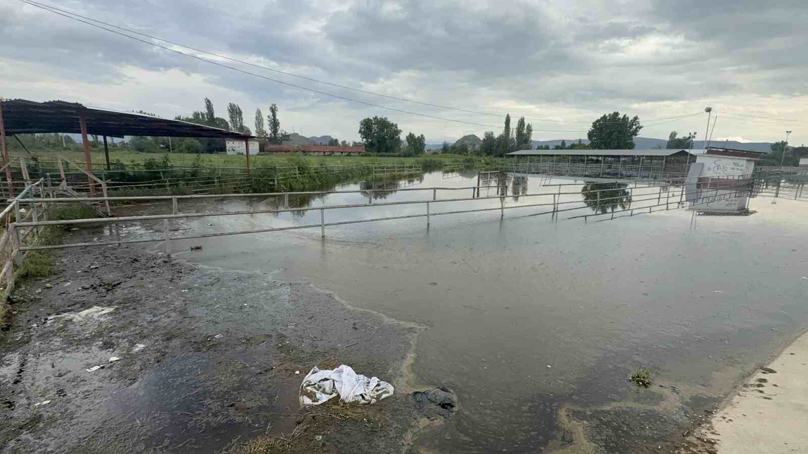 turhalda hayvan pazari sular altinda kaldi 5 Y78FiKMY