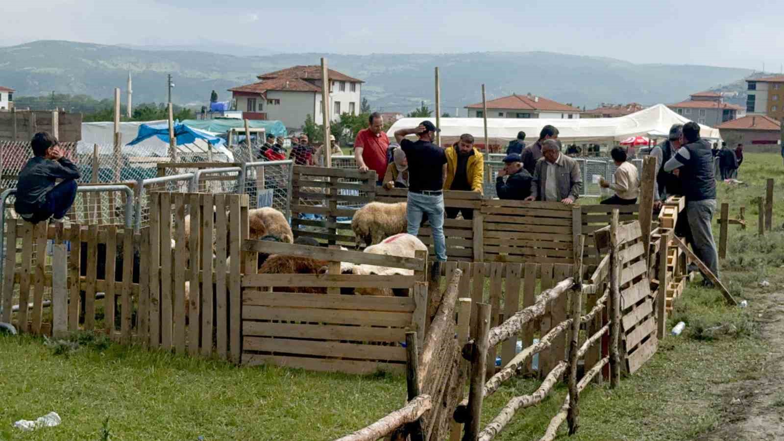 turhalda taskin riskine karsi hayvan pazari yuksek bolgeye tasindi 3 cbs6RKpv