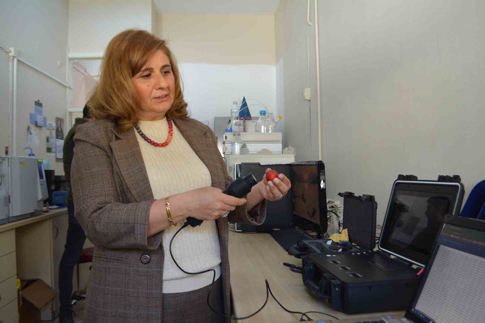 turk bilim adamlari tarafindan super cilekler gelistirildi 1 npw5BQVe