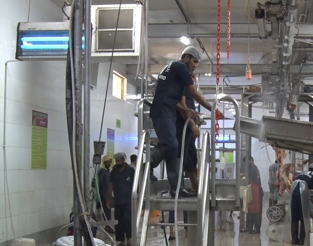 Türk Kızılay’ın Pakistan’da vekaleten kestiği kurbanlar yaklaşık 4 bin 700 aileye dağıtılacak 8 turk kizilayin pakistanda vekaleten kestigi kurbanlar yaklasik 4 bin 700 aileye dagitilacak 4 Xrn9RpVN