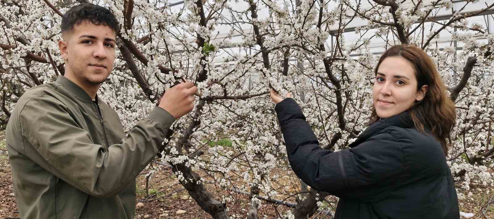turkiye karla kapliyken silifkede erik agaclari cicek acti 0 GWewm3RX