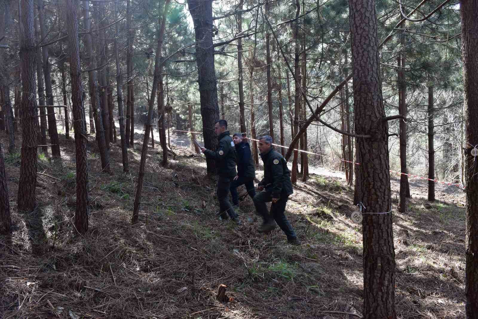 turkiye ormancilik oyunlari trabzonda basladi 2 9u4mIITG