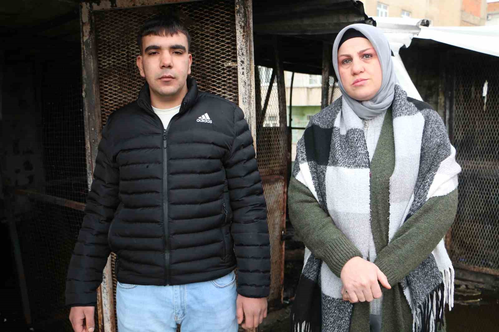 turkiyede bir ilkti diyarbakirdaki guvercin otelinde cikan yanginda 100den fazla kus telef oldu 3 Wta1VWAH