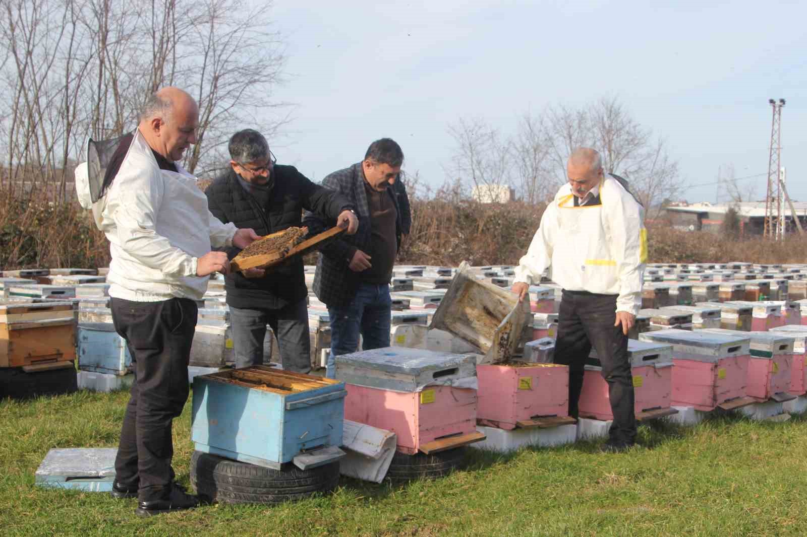 turkiyede en fazla bal uretiminin yapildigi orduda aricilar sezona hazirlaniyor 4 WFXPdz5w