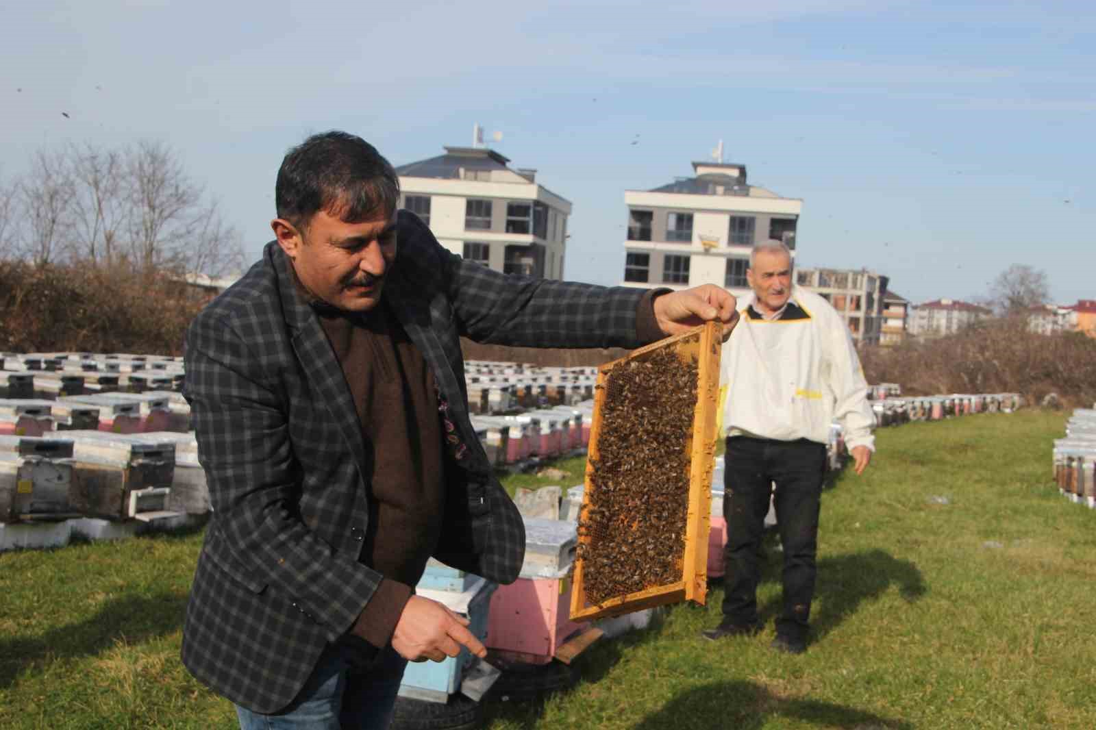 turkiyede en fazla bal uretiminin yapildigi orduda aricilar sezona hazirlaniyor 6 NX9fntzW