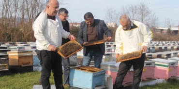 turkiyede-en-fazla-bal-uretiminin-yapildigi-orduda-aricilar-sezona-hazirlaniyor-y7Pgbvpb.jpg
