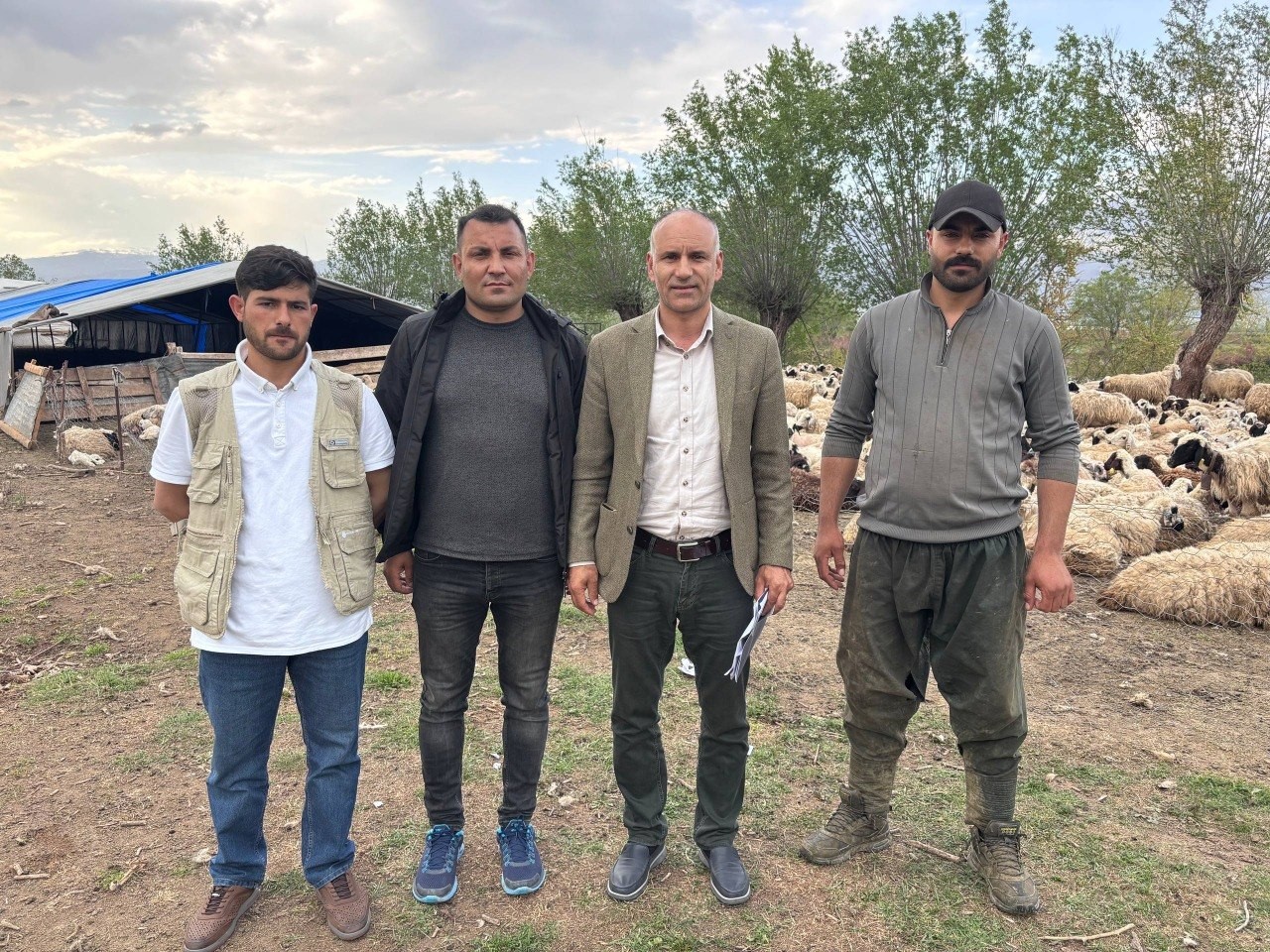 Türkiye’de ilk kez uygulandı: Afgan çobanlar asgari ücretle göreve başladı 5 turkiyede ilk kez uygulandi afgan cobanlar asgari ucretle goreve basladi 1 AVVudC3m