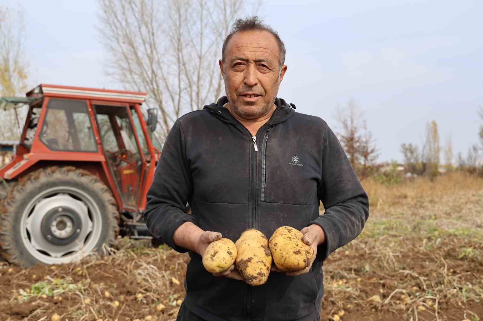 turkiyede sezonun son patatesleri sivasta sokuluyor 1 1WF5nKOI
