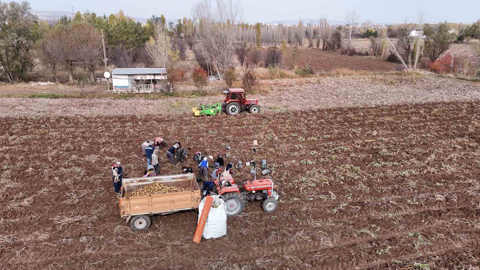 turkiyede sezonun son patatesleri sivasta sokuluyor 6 8E3EuOuX