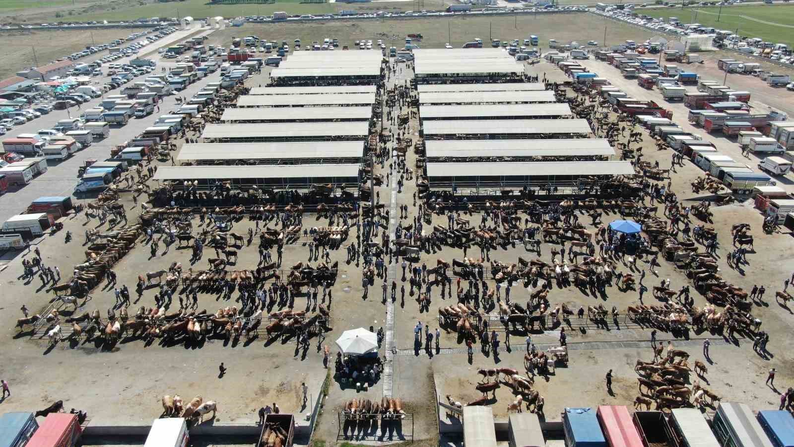 turkiyenin en buyuk hayvan pazarlarindan sarkislada bayram oncesi yogunluk artti 1 t4IWKEuw
