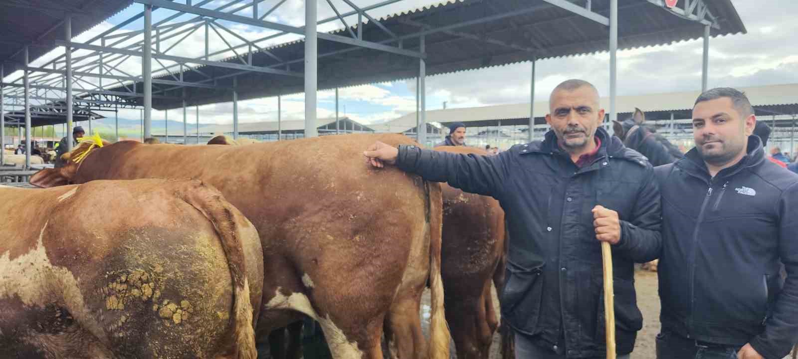 turkiyenin en buyuk hayvan pazarlarindan sarkislada bayram oncesi yogunluk artti 6 jQWtgD2p