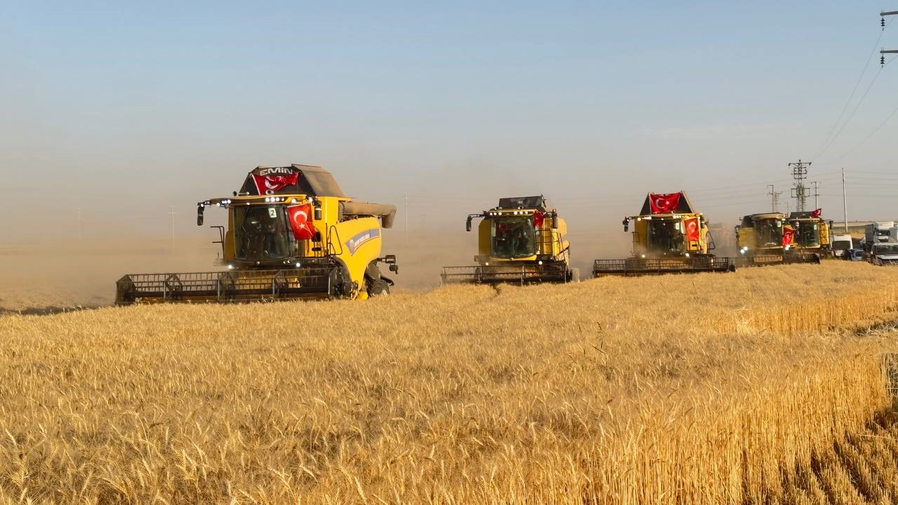 Türkiye’nin en büyük tarım işletmesinde hasat zamanı 4 turkiyenin en buyuk tarim isletmesinde hasat zamani 0 aOzFHNjg