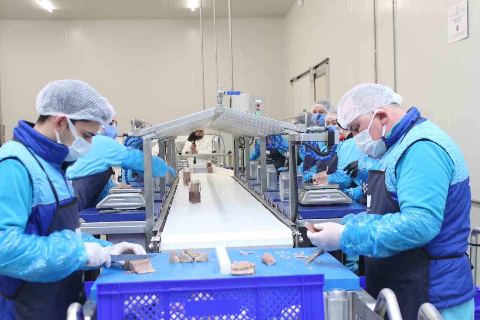 turkiyenin ilk cografi isaretli su urunu olan lakerdanin uretimi basladi 1 sf7wI6rK