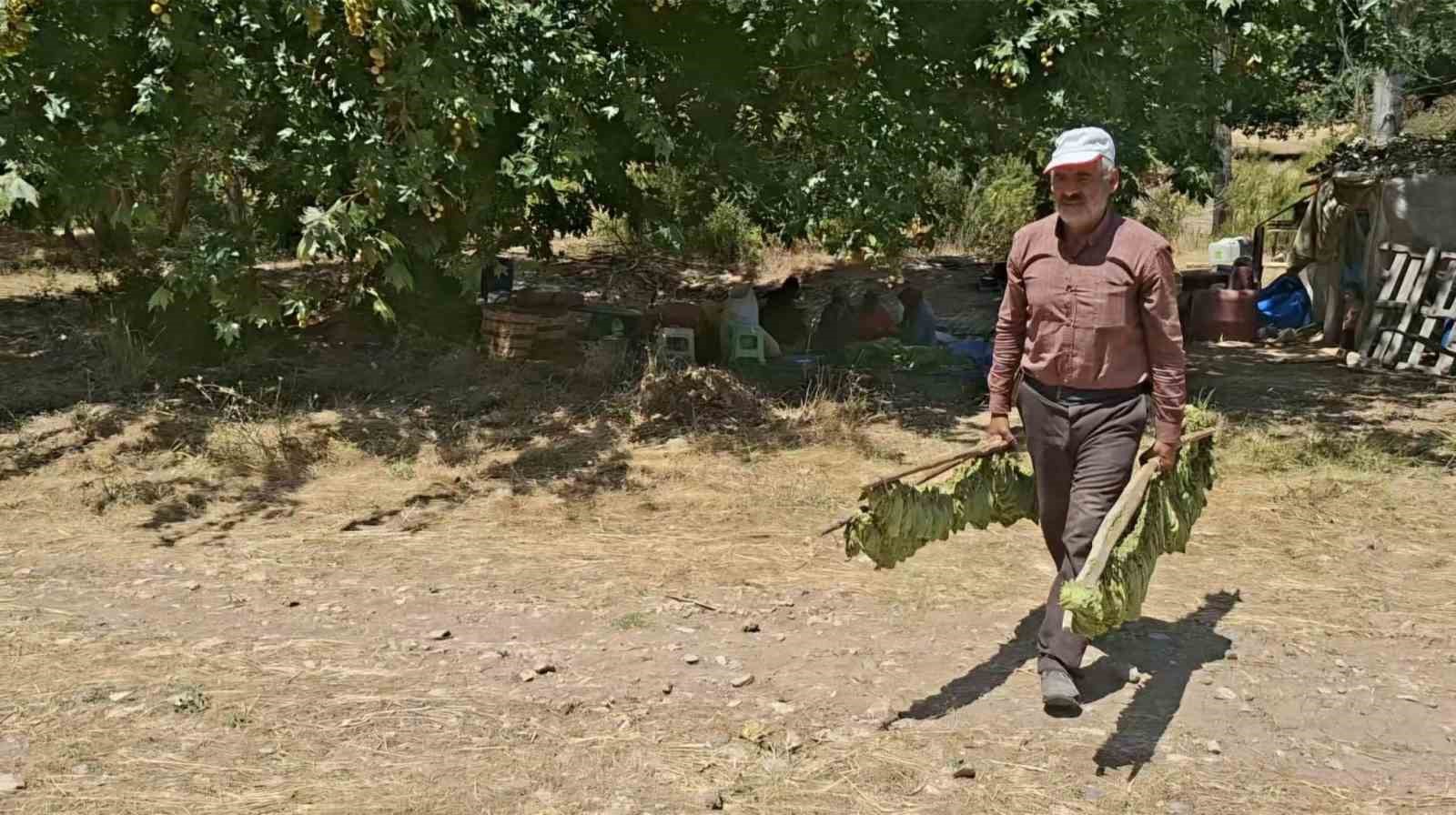 turkiyenin kaliteli tutunu tarihe karisiyor 1 CSXUfmFM