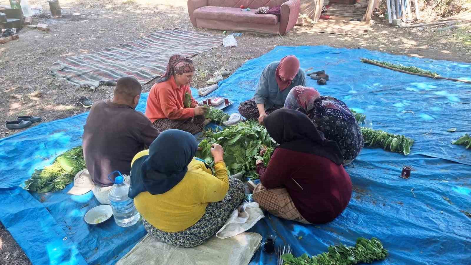 turkiyenin kaliteli tutunu tarihe karisiyor 4 QfhkChLL