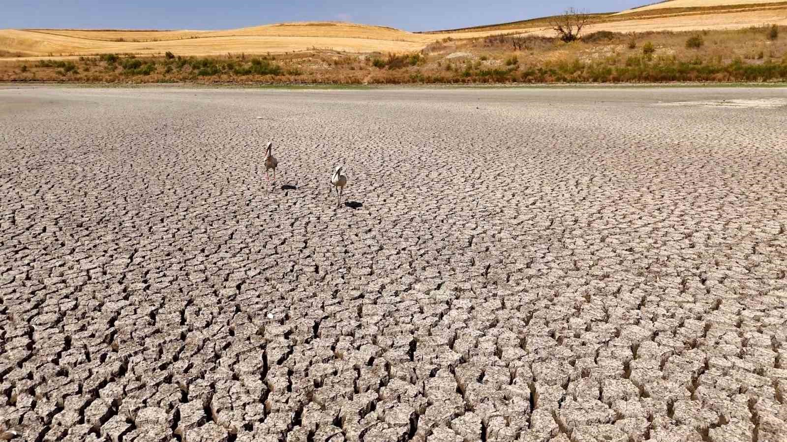 turkmenli goletinde algasid dozlama ile su kalitesi artiriliyor 4 iMy8BbC5