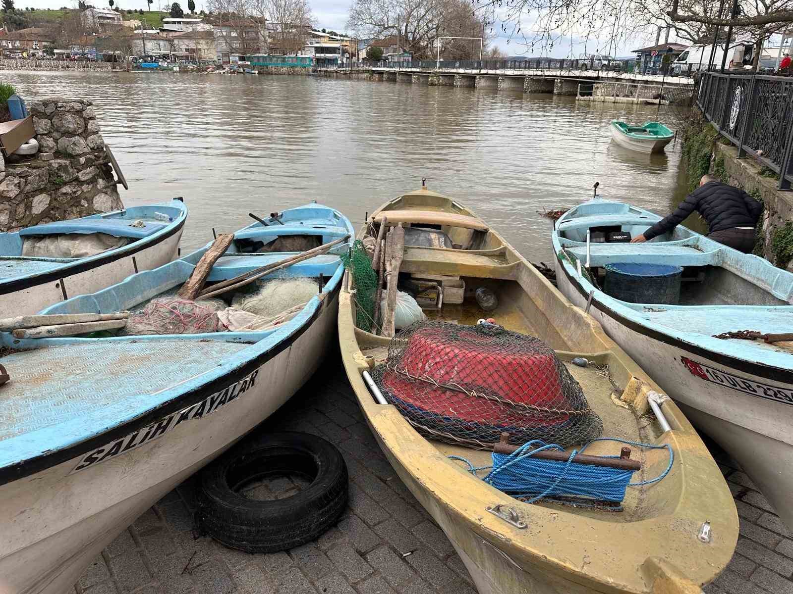 turna severlere uluabat golunden guzel haber 2 Y7pWh8H6