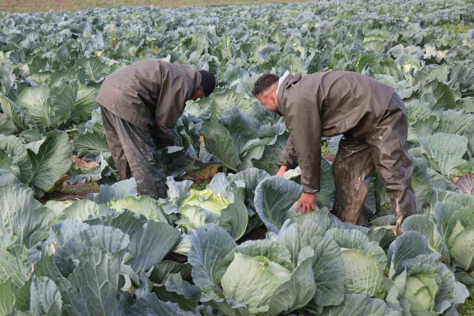 tursularin basrol oyuncusu lahananin hasadina devam ediliyor 1 PGwsZTiZ