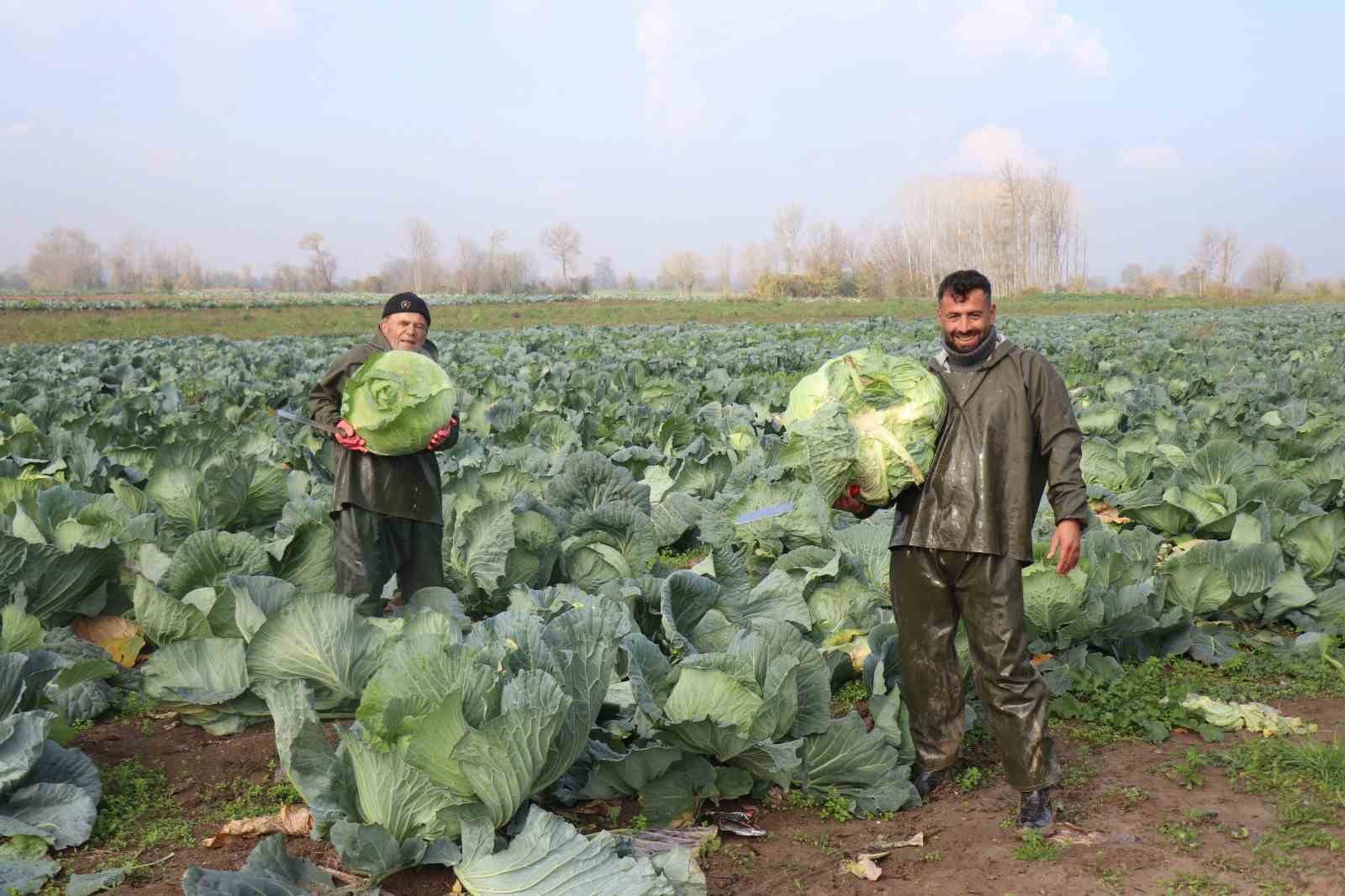 tursularin basrol oyuncusu lahananin hasadina devam ediliyor 8 5ATLFnAe
